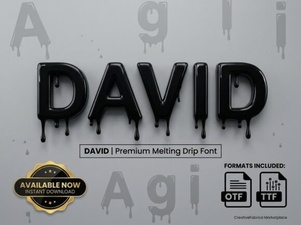 David Font: a Versatile Typeface for Modern Design Projects