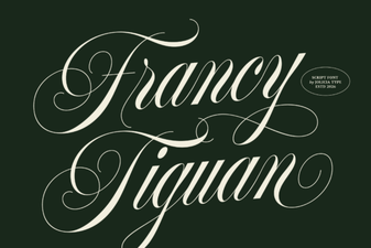 Francy Tiguan Font – Elegant Script Font for Creative Designs
